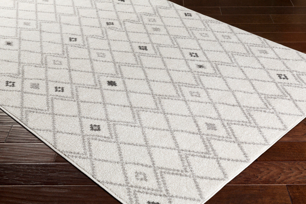 Surya Rhea RHE-1006 Area Rug Corner Image Feature
