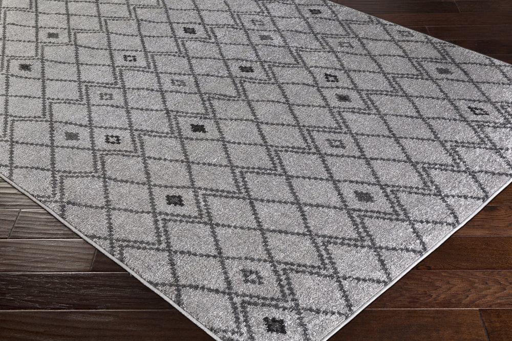 Surya Rhea RHE-1008 Area Rug Corner Image Feature