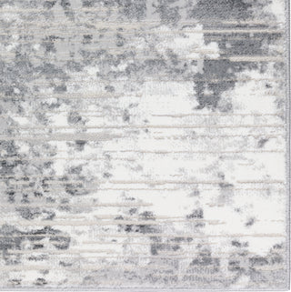 Dalyn Rhodes RR4 Gray Area Rug Closeup Image