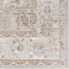 Dalyn Rhodes RR6 Taupe Area Rug Closeup Image