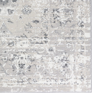 Dalyn Rhodes RR8 Silver Area Rug Closeup Image