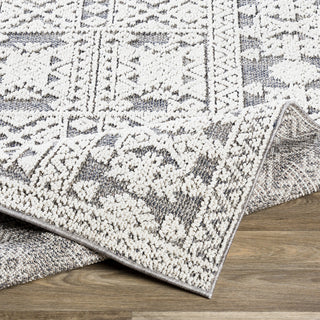 Surya Ariana RIA-2305 Area Rug