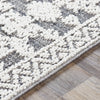 Surya Ariana RIA-2305 Area Rug