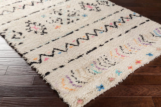 Surya Riad RID-3003 Area Rug by DwellStudio