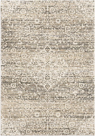 Orian Rugs Riverstone Center Kirman Multi Area Rug by Palmetto Living