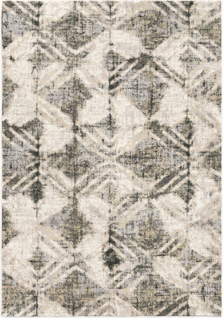 Orian Rugs Riverstone Maverick Cloud Grey Area Rug by Palmetto Living