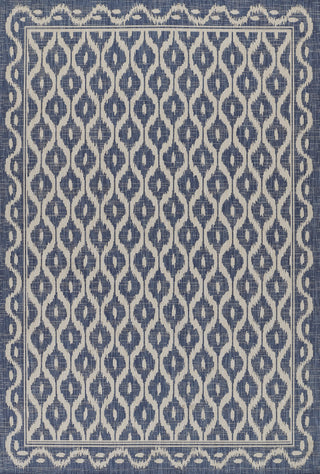 Momeni Riviera RV-02 Blue Area Rug main image