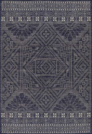 Momeni Riviera RV-03 Navy Area Rug main image