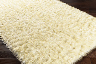 Surya Rajesh RJS-1001 Area Rug Corner Image Feature