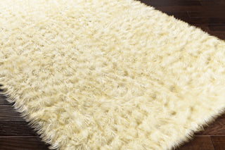 Surya Rajesh RJS-1001 Neutral/Brown Area Rug Closeup