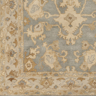 Surya Relic RLC-3002 Sage Hand Tufted Area Rug Sample Swatch