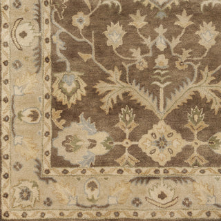 Surya Relic RLC-3003 Tan Hand Tufted Area Rug Sample Swatch