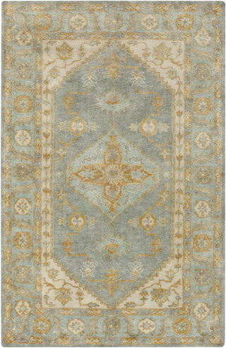 Surya Relic RLC-3008 Teal Area Rug main image