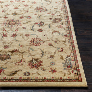 Livabliss Riley RLY-5026 Area Rug