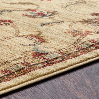 Livabliss Riley RLY-5026 Area Rug