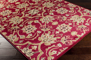 Surya Riley RLY-5028 Burgundy Area Rug Corner Shot