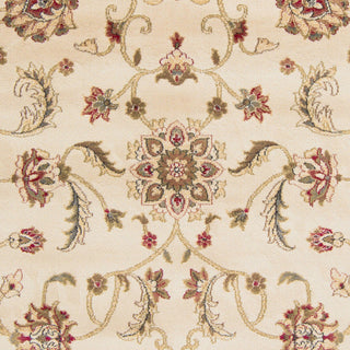 Surya Riley RLY-5033 Beige Area Rug Sample Swatch