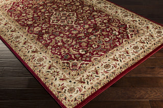 Surya Riley RLY-5039 Area Rug Corner Shot