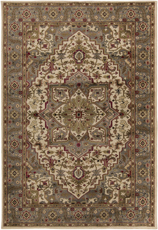 Surya Riley RLY-5054 Gray Area Rug 5'3'' x 7'6''