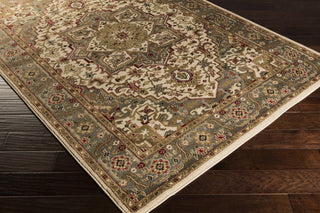 Surya Riley RLY-5054 Gray Machine Loomed Area Rug Corner Shot