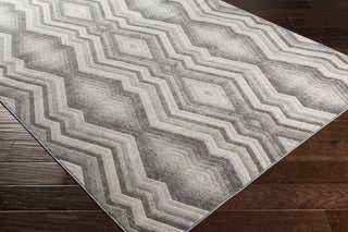 Livabliss Remy RMY-2311 Area Rug