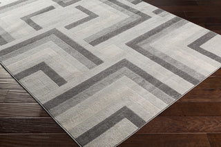 Surya Remy RMY-2316 Area Rug