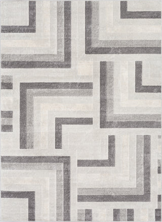 Surya Remy RMY-2316 Area Rug