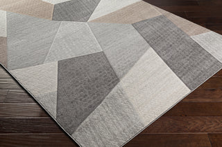 Livabliss Remy RMY-2319 Area Rug