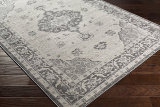 Livabliss Remy RMY-2321 Area Rug