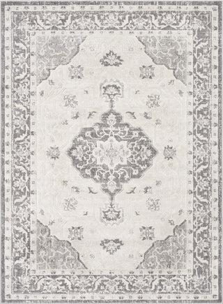 Livabliss Remy RMY-2321 Area Rug