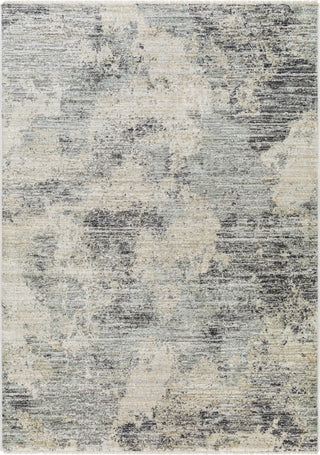 Surya Rojin ROJ-2302 Area Rug main image