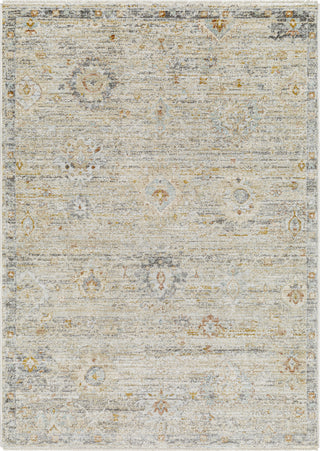 Surya Rojin ROJ-2303 Area Rug main image