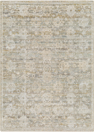 Surya Rojin ROJ-2304 Area Rug main image