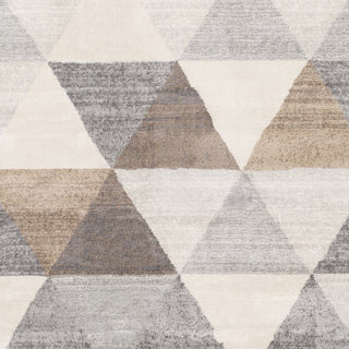 Livabliss Roma ROM-2303 Area Rug