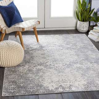 Surya Roma ROM-2305 Area Rug Room Scene Feature