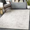 Surya Roma ROM-2308 Area Rug Room Scene 2 