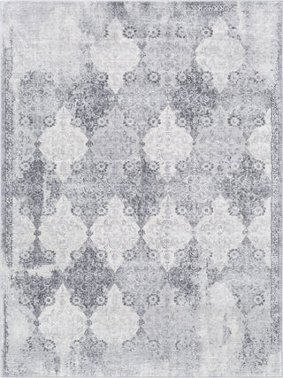 Surya Roma ROM-2316 Area Rug