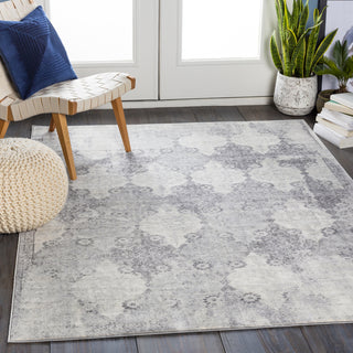 Surya Roma ROM-2316 Area Rug Room Scene Feature