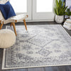 Surya Roma ROM-2319 Area Rug Room Scene Feature