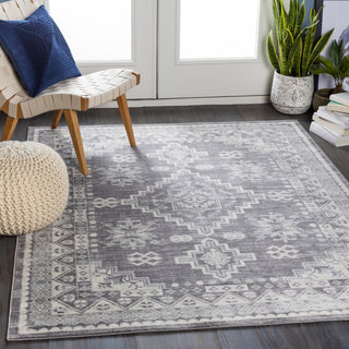 Surya Roma ROM-2321 Area Rug Room Scene Feature