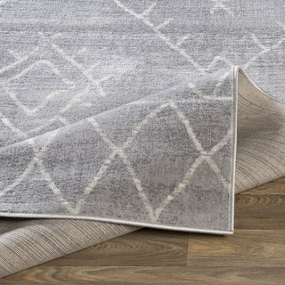 Livabliss Roma ROM-2336 Area Rug