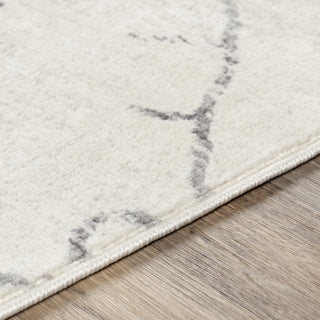 Livabliss Roma ROM-2337 Area Rug