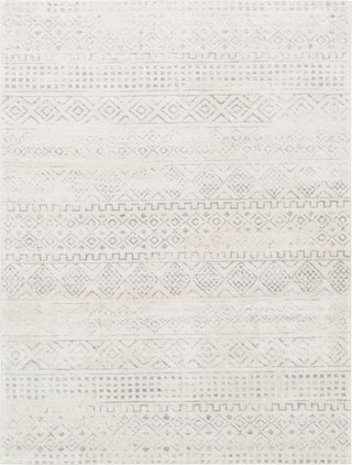 Livabliss Roma ROM-2341 Area Rug