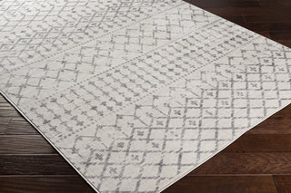 Surya Roma ROM-2376 Area Rug
