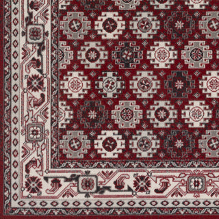 Artistic Weavers Roosevelt Adel Crimson Red/Ivory Area Rug Swatch