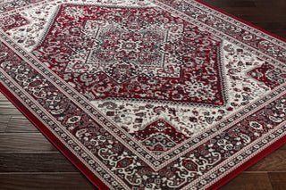 Artistic Weavers Roosevelt Wheeler ROO6210 Area Rug Corner Shot Feature