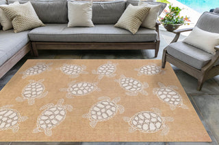 Trans Ocean Carmel 8413/12 Seaturtles Natural Area Rug by Liora Manne