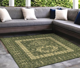 Trans Ocean Carmel 8409/06 Kilim Green Area Rug by Liora Manne