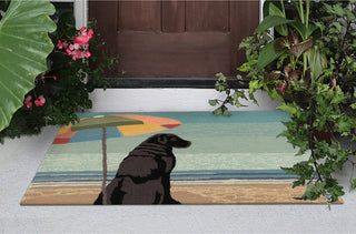 Trans Ocean Frontporch 4495/44 Parasol And Pup Multi Area Rug by Liora Manne