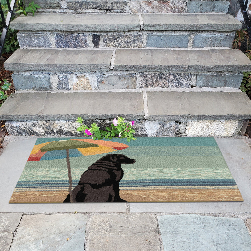 Trans Ocean Frontporch 4495/44 Parasol And Pup Multi Area Rug by Liora Manne Room Scene Image Feature